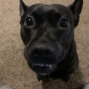 Meet your Posher, Janet